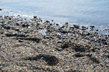 footprint on the beach
