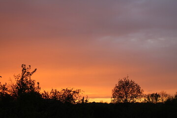 sunset over the field
