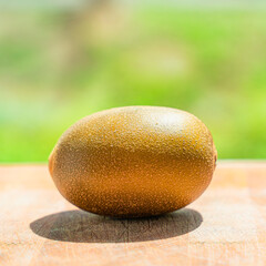 kiwi on a wooden Board background green