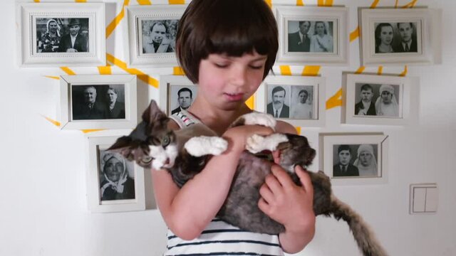 A boy with a cat in his arms posing against the backdrop of photos of a family tree. Bright moments of joy of human being.