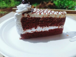 Chocolate piece of cake on a plate 