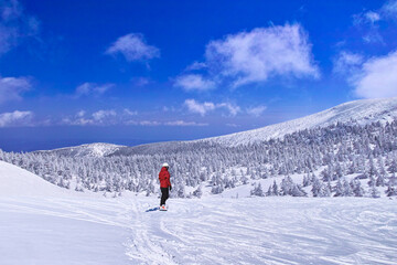 Fototapeta na wymiar 雪景色を眺めるスノーボーダー 