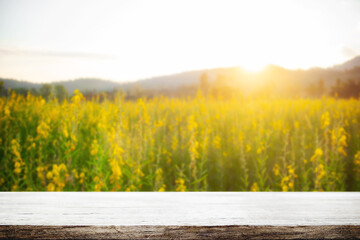 Empty wooden table space platform and blurred field or farm background for product display montage