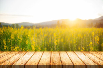 Empty wooden table space platform and blurred field or farm background for product display montage