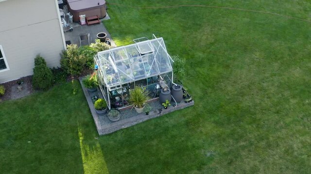 Backyard garden and a hothouse with plants growing around the lawn in the evening. Aerial drop down with tilting camera of a greenhouse. Gardener viewable through the window panes.
