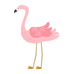 Flamingo bird in flat design.Vector illustration.