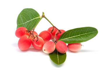 Karanda, Carunda or Christ's thorn fruits with leaf isolated on white background.