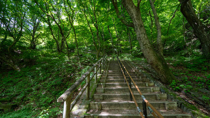Obraz premium 新緑の階段in群馬 碓氷