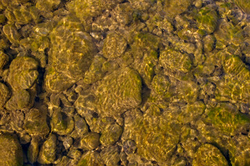 clear water of a mountain river in the sun