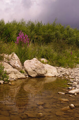 landscape with mountain river summer day before the rain