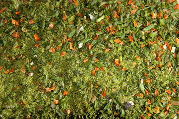 seasoning of dried herbs ispecium vegetables