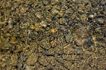 clear water of a mountain river in the sun