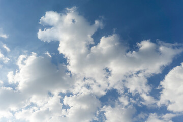 Fototapeta premium Abstract cloud background in the sky look like a dragon.