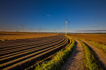 Wind turbines on sunny morning