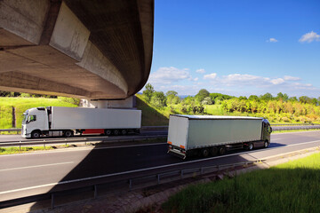 Truck transport on the road and cargo