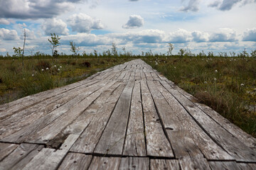 old wooden bridge