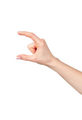 Female hand holding something isolated on white background