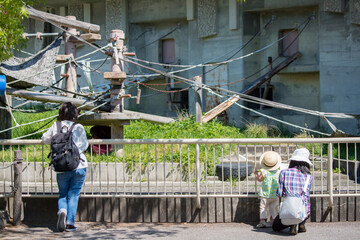 夏の動物園のファミリー観光客