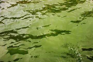 Abstract background from ripples in water surface
