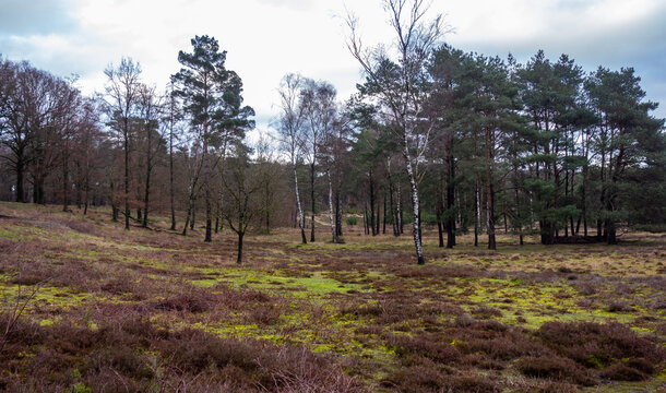 Soesterberg Images Browse 49 Stock Photos, Vectors, and Video Adobe