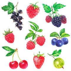Watercolor colorful berry collection, set isolated on white background; strawberry, cherry, blackberry, gooseberry, raspberry