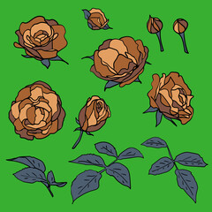 A set of coffee colored roses with leaves and buds. Hand-drawn floral flat motifs with black outline. Clip art for cards and tattoos. Design for sticker and logo. Stock vector illustration isolated.