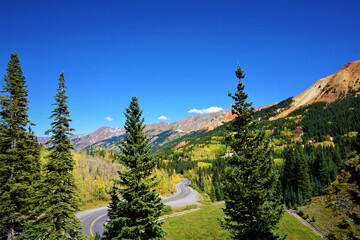 Winding road through the San Juan National Forest