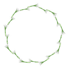 Round frame with green onion on white background. Vector image.