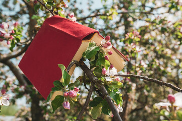 Fototapeta na wymiar A book in a red cover is hanging on a branch of a tree blooming in white flowers.