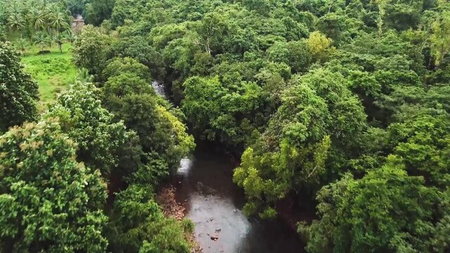 Drone shot flying over trees heading towards the sun and landscape at Netravali Wildlife Sanctuary, Goa, India