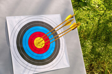 Target for archery with arrows in forest