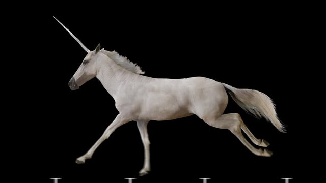 Unicorn running gallop realistic animation. Isolated video including alpha channel allows to add background in post-production. Element for visual effects.