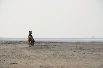 Tourism Place White dessert of Kutch, Gujarat, India