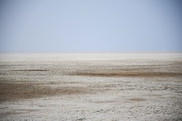 Tourism Place White dessert of Kutch, Gujarat, India