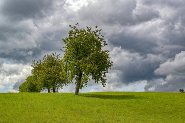 Obraz premium Paysage de campagne par un jour d'été orageux