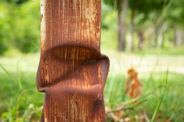 Old rusty pillar stands on a blurred natural green background.
