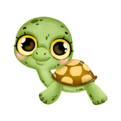 Illustration of a cute cartoon baby turtle with big eyes isolated on a white background