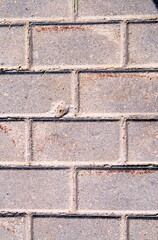 background paving slabs close up