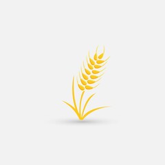Agriculture wheat Logo Template vector icon design