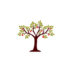 Fototapeta premium vector apple tree on white background