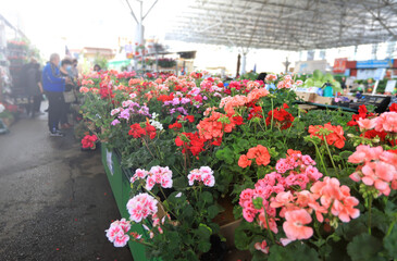 Flowers market. Flower exchange.