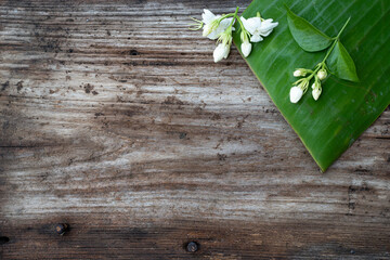 spring flowers on wooden background