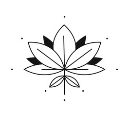 A Beautiful and delicate Fynbos Protea Line Icon 