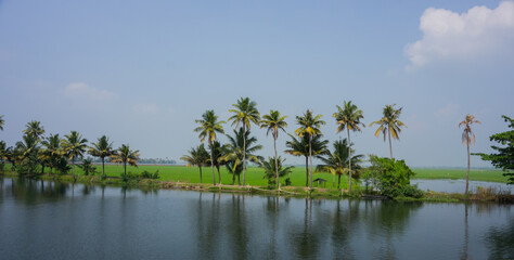 Kerala houseboats Backwaters with coconut trees and paddy field