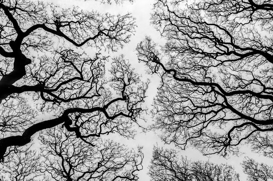 Conexión de sentimientos, amores en blanco y negro