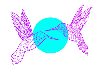 Hand drawing outline abstract birds for logo design. Zentangle style hummingbird vector illustration isolated on white background.