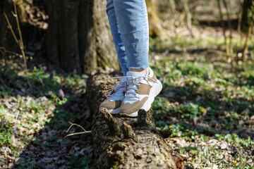 Fototapeta premium legs of a girl walking in the forest