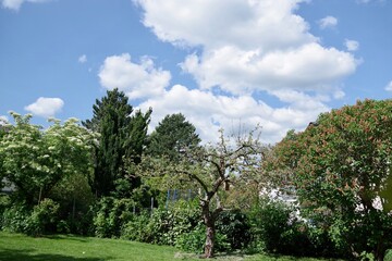 Fototapeta premium Garten