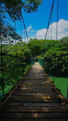 wooden pedestrian hanging bridge over river in tropical forest, kerala, India 