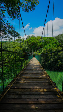 Fototapeta wooden pedestrian hanging bridge over river in tropical forest, kerala, India 